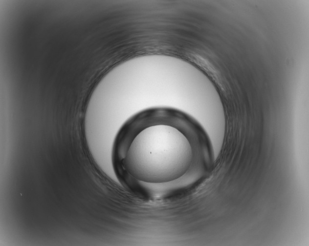 X0000089660405200707051533