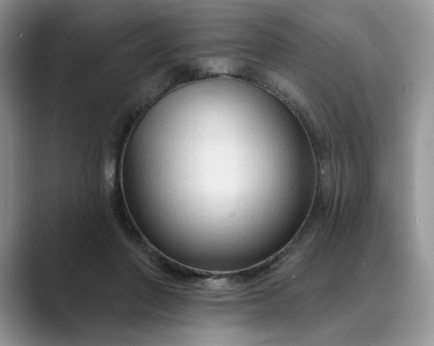 X0000089660406200707051533