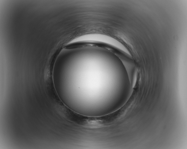 X0000089660407200707051533