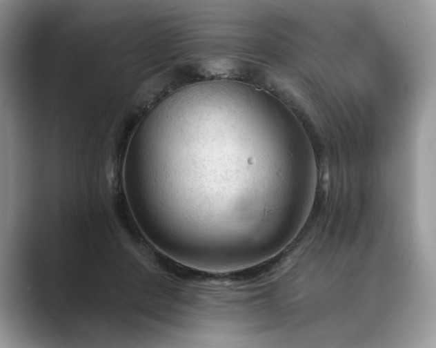 X0000089660408200707051533