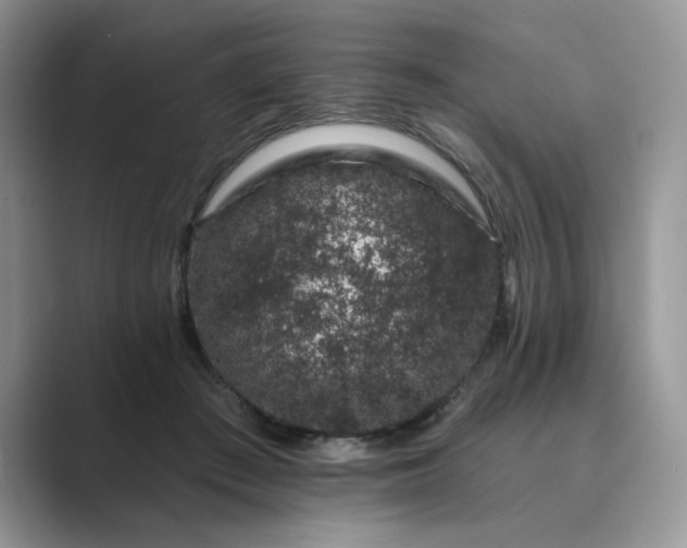 X0000089660409200707051533