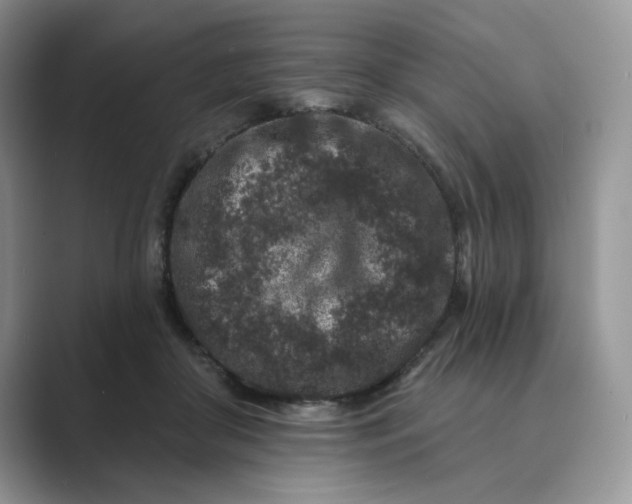 X0000089660410200707051533