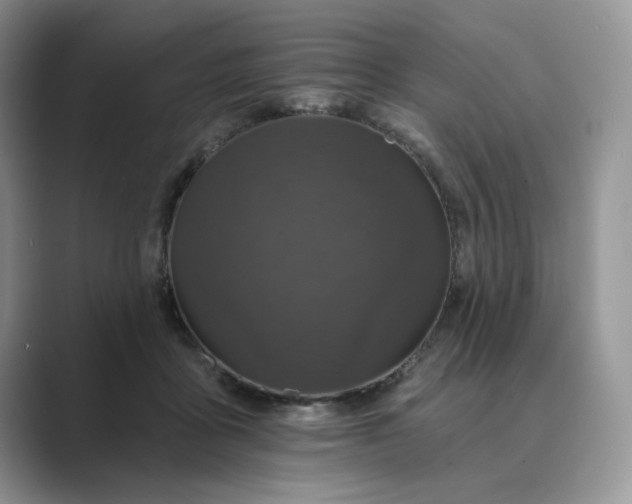 X0000089660411200707051533