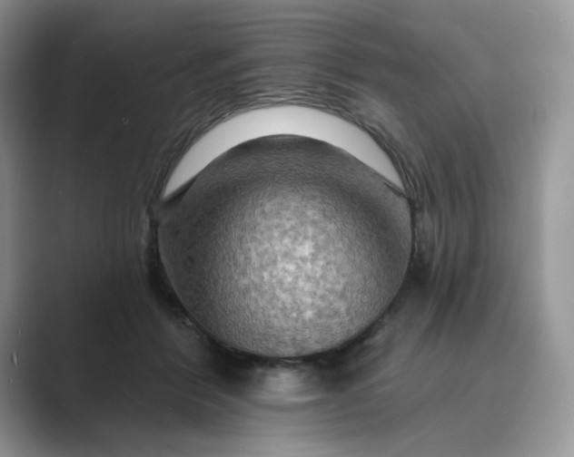 X0000089660412200707051533