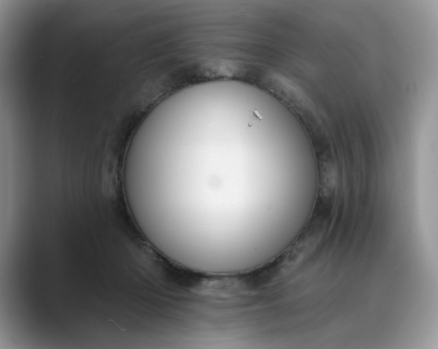 X0000089660414200707051533