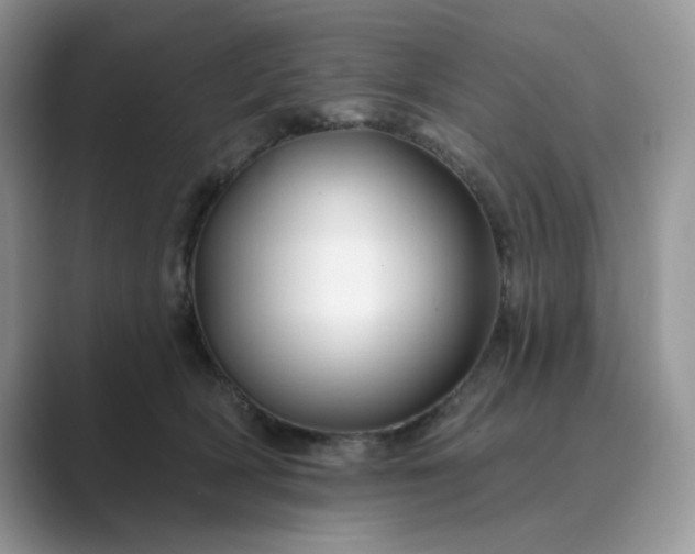 X0000089660418200707051533