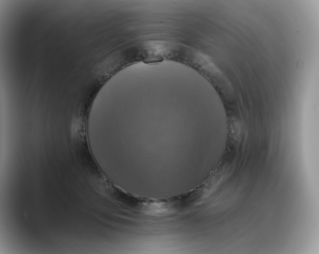 X0000089660419200707051533