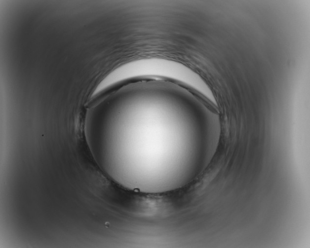 X0000089660420200707051533