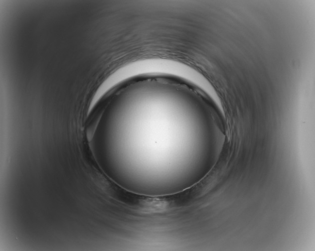 X0000089660421200707051533