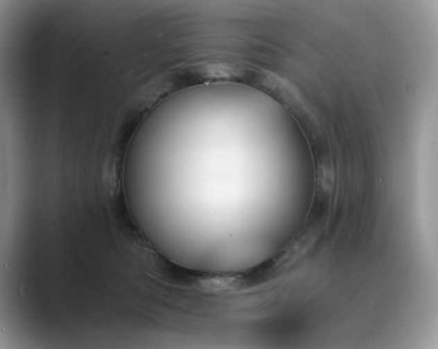 X0000089660422200707051533