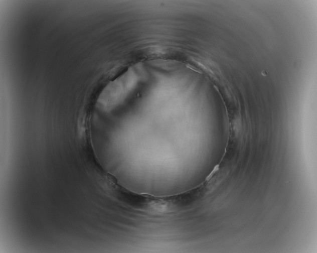 X0000089660423200707051533