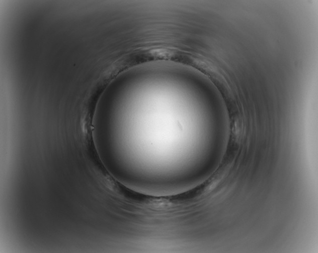 X0000089660424200707051533