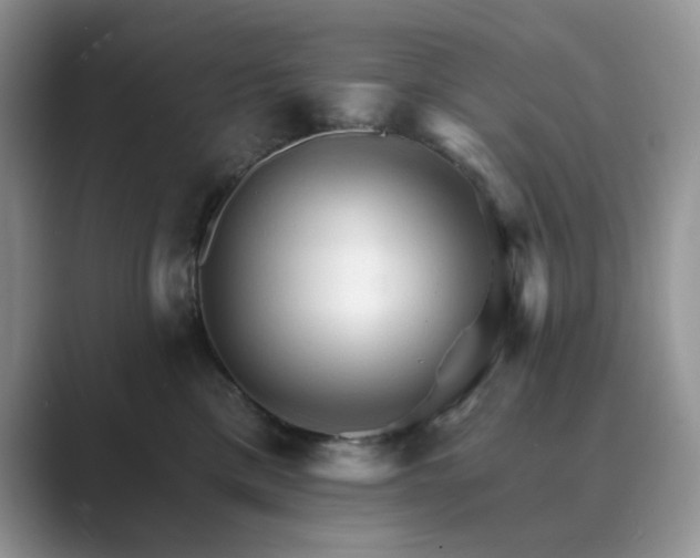 X0000089660425200707051533