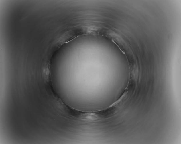 X0000089660427200707051533