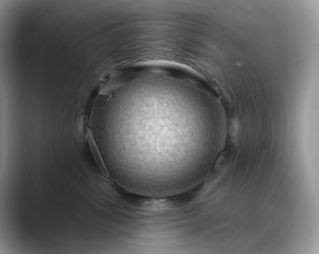 X0000089660428200707051533