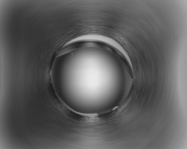 X0000089660429200707051533