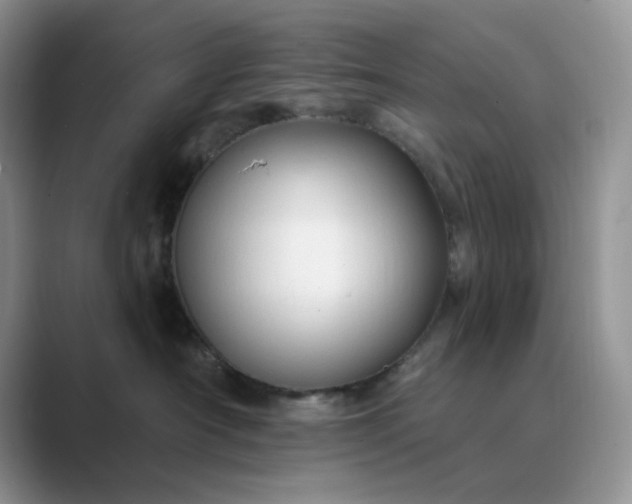 X0000089660430200707051533