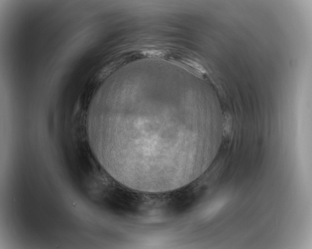 X0000089660431200707051533