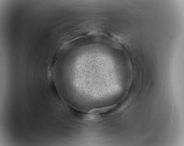 X0000089660432200707051533