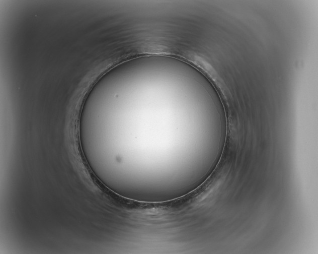 X0000089660433200707051533