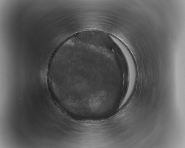 X0000089660434200707051533