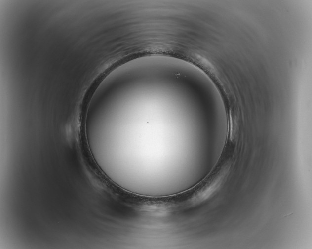 X0000089660435200707051533