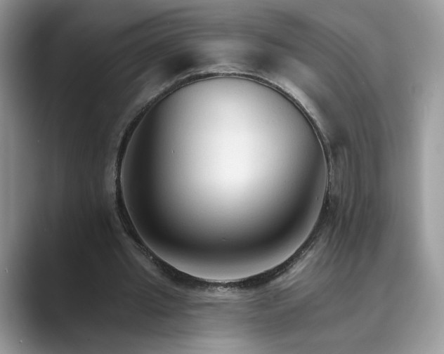 X0000089660437200707051533