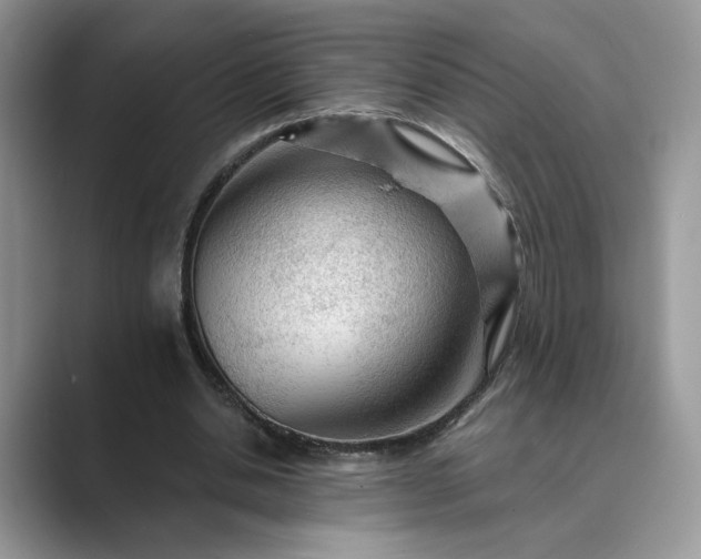 X0000089660438200707051533