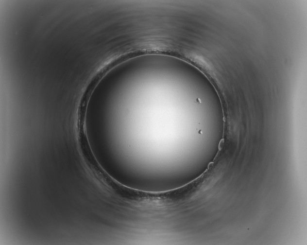 X0000089660439200707051533