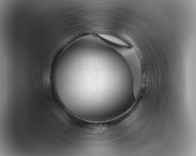 X0000089660443200707051533