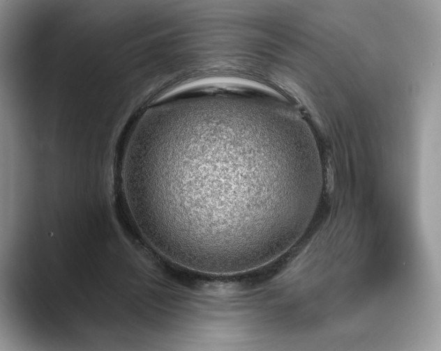 X0000089660444200707051533