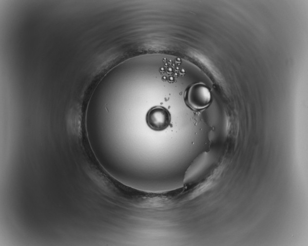 X0000089660446200707051533