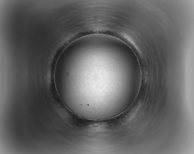 X0000089660447200707051533