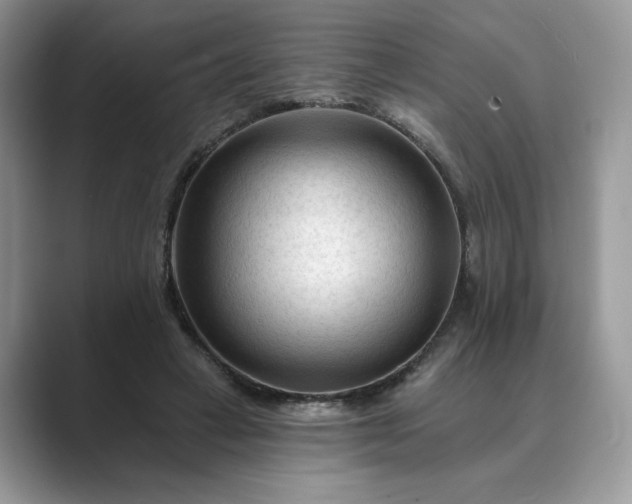 X0000089660449200707051533