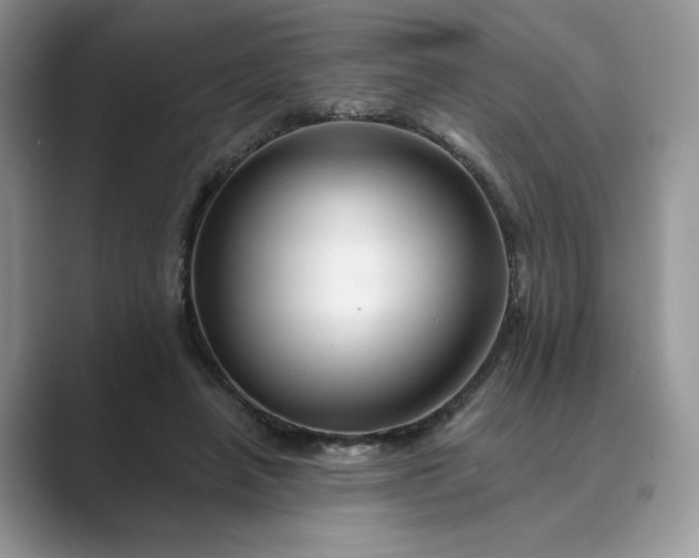 X0000089660450200707051533