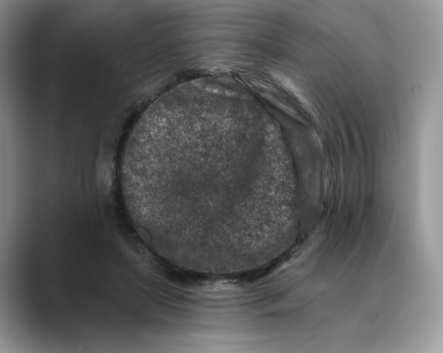 X0000089660451200707051533