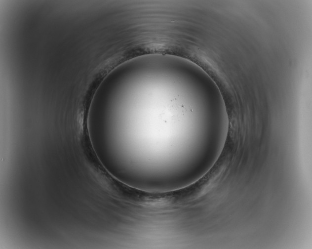 X0000089660454200707051533