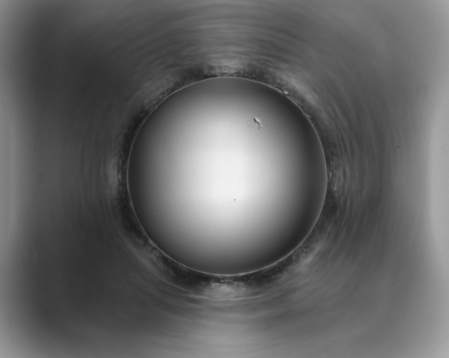 X0000089660455200707051533