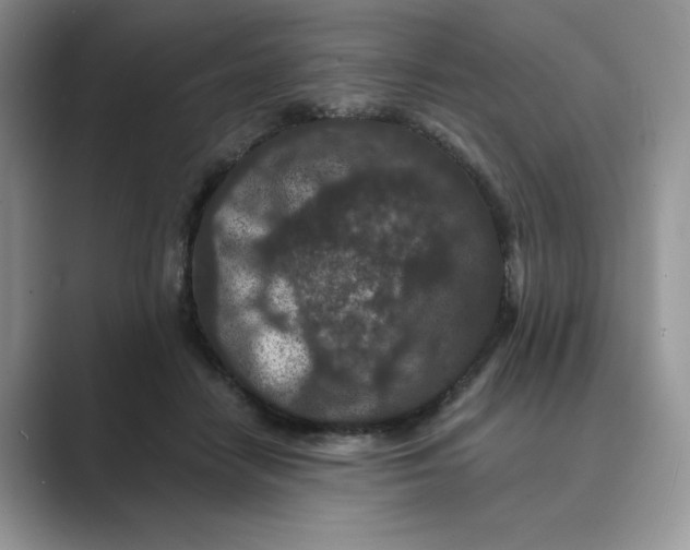 X0000089660458200707051533