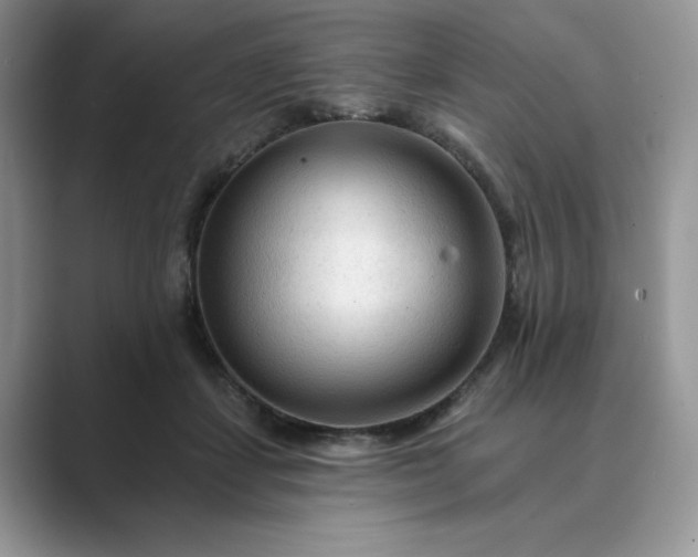 X0000089660459200707051533