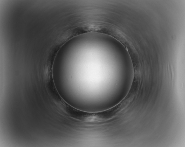 X0000089660460200707051533