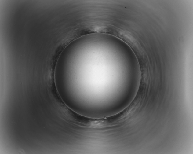 X0000089660461200707051533