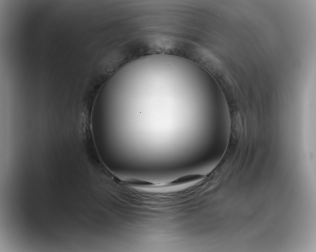 X0000089660463200707051533