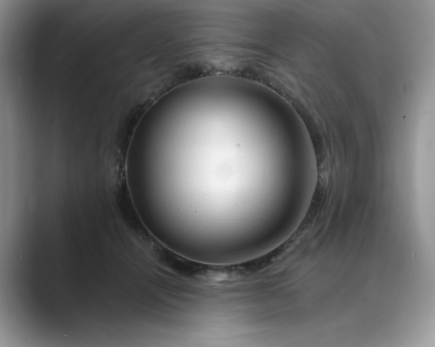 X0000089660464200707051533