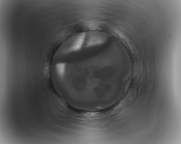 X0000089660465200707051533