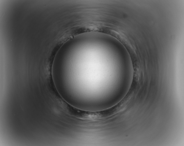 X0000089660466200707051533