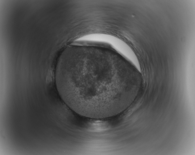 X0000089660467200707051533