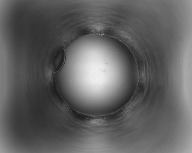 X0000089660468200707051533