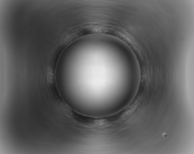 X0000089660469200707051533