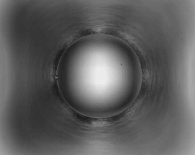 X0000089660470200707051533